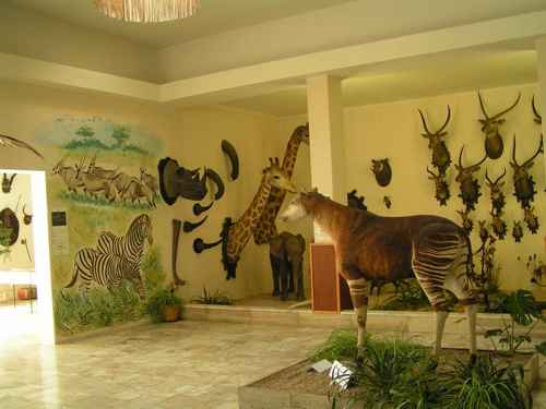 Múzeum Dr. Emila Holuba Múzeum Dr. Emila Holuba